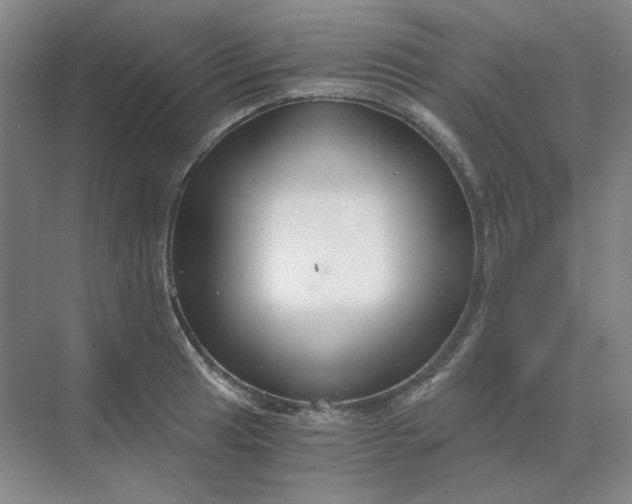 X0000068811041200605191802