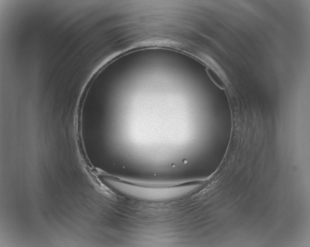 X0000068811044200605191802