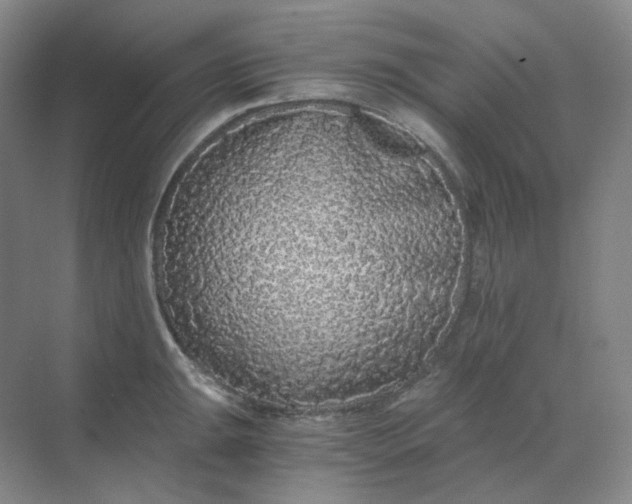 X0000068811047200605191802