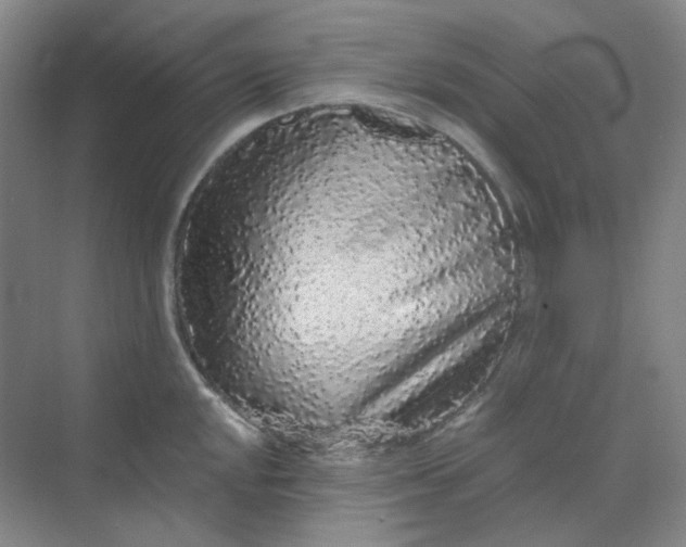 X0000068811048200605191802