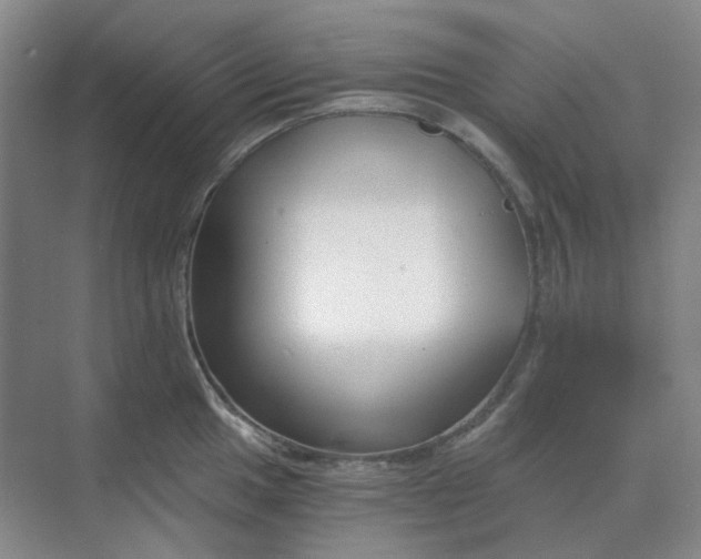 X0000068811049200605191802