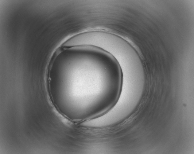 X0000068811054200605191802