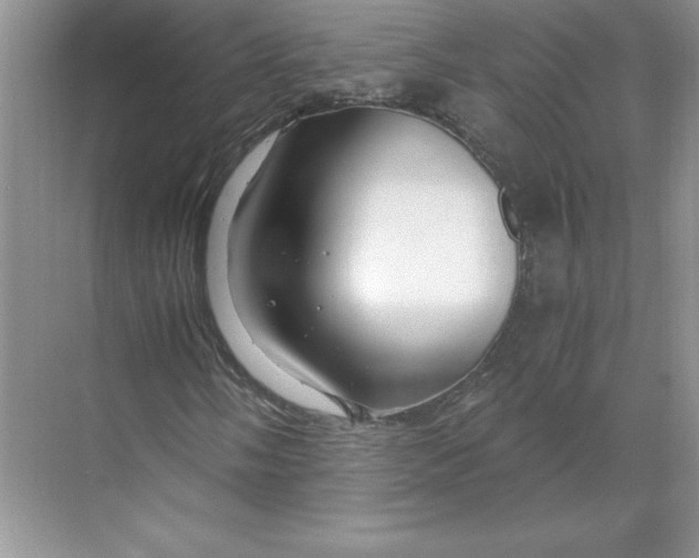 X0000068811058200605191801
