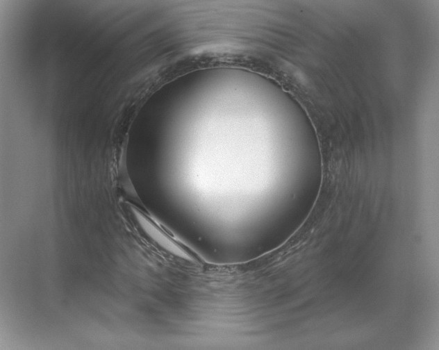 X0000068811062200605191801