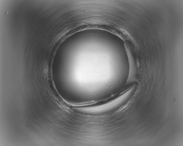 X0000068811065200605191801