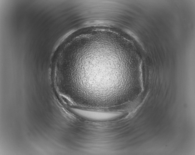 X0000068811066200605191801