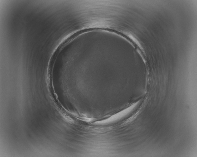 X0000068811077200605191801