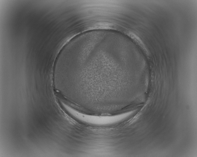 X0000068811081200605191801
