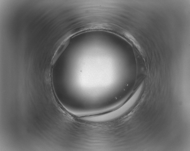 X0000068811089200605191801
