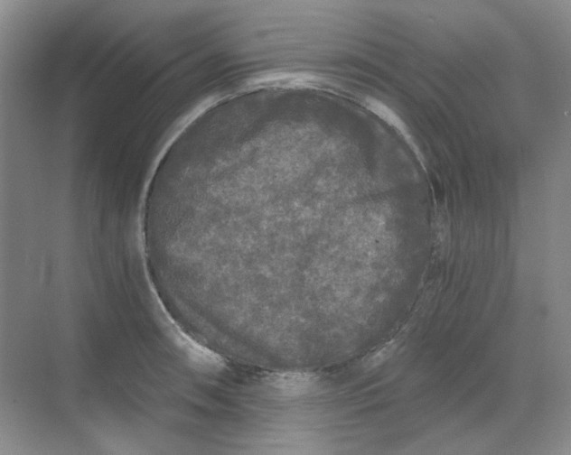 X0000068811090200605191801