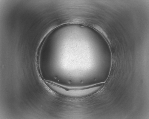 X0000068811091200605191801