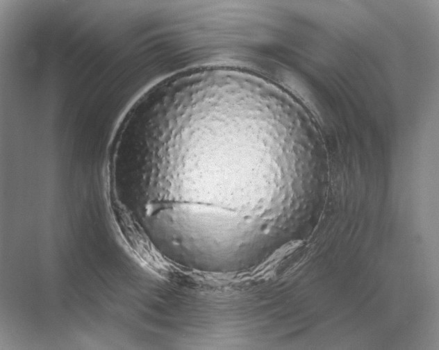 X0000068811092200605191801