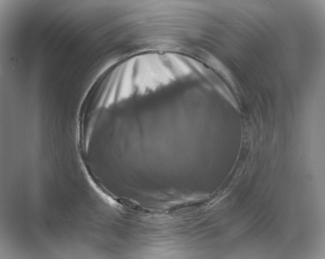 X0000068811095200605191801