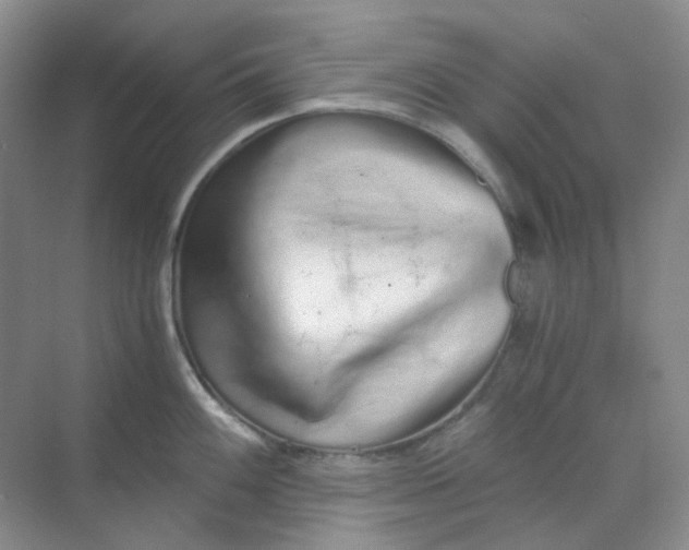 X0000068811100200605191800