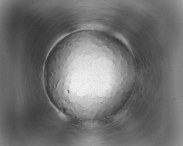 X0000068811103200605191800