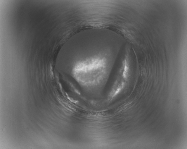 X0000068811106200605191800