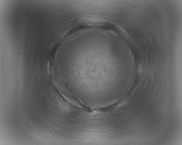 X0000068811108200605191800