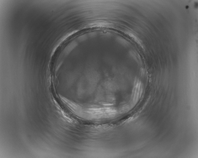 X0000068811117200605191800