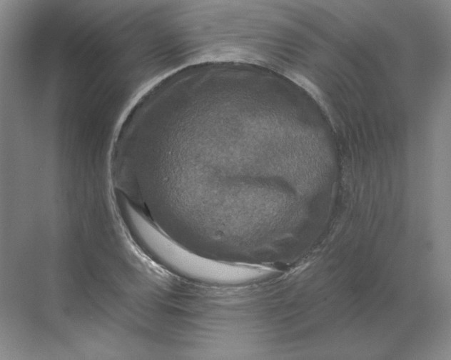 X0000068811120200605191800
