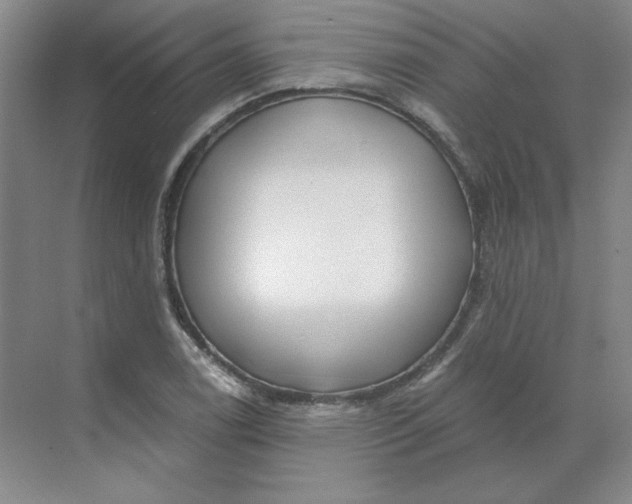 X0000068811122200605191800