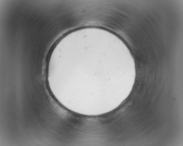 X0000068811126200605191800