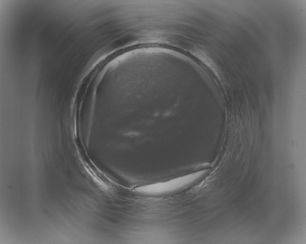 X0000068811127200605191800