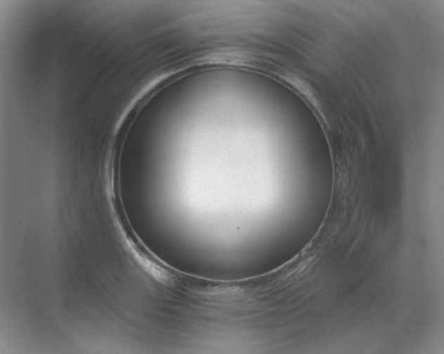 X0000068811131200605191800