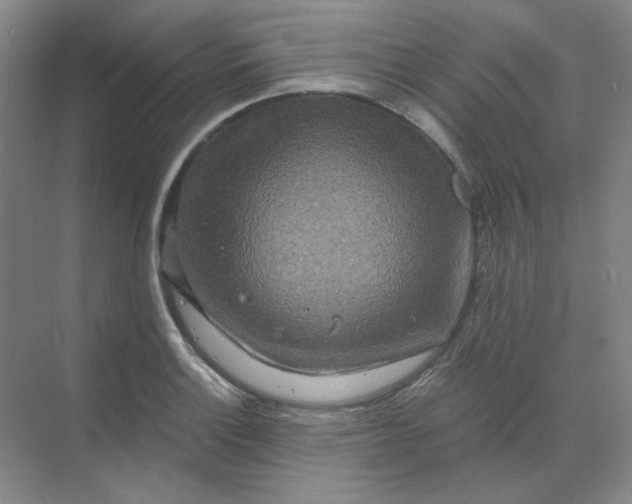 X0000068811132200605191800