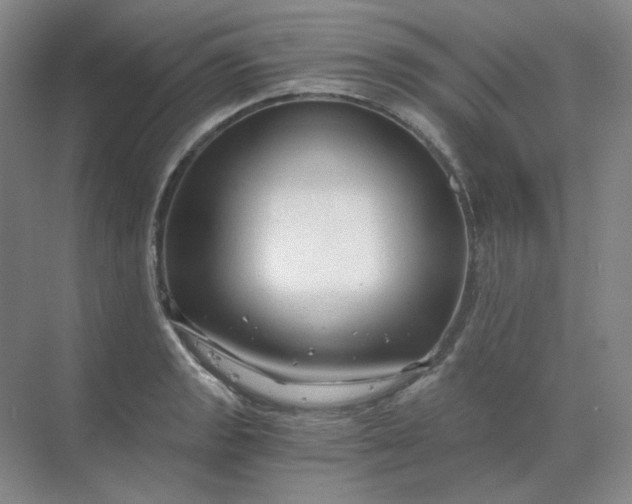 X0000068811133200605191800
