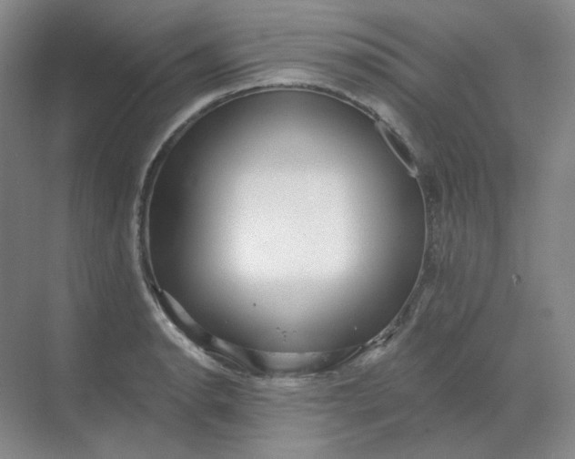 X0000068811134200605191800