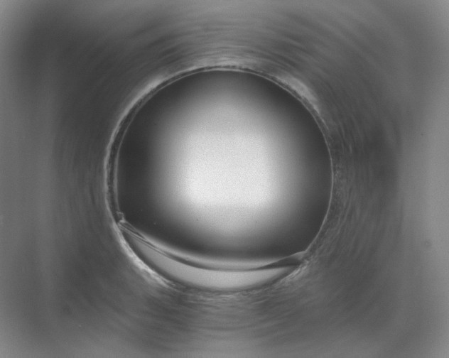 X0000068811135200605191800