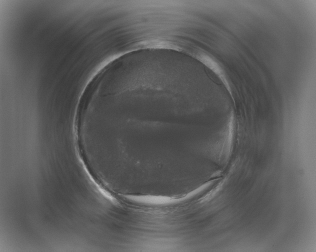 X0000068811141200605191800