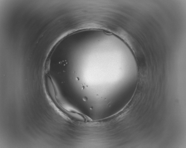 X0000068811142200605191800