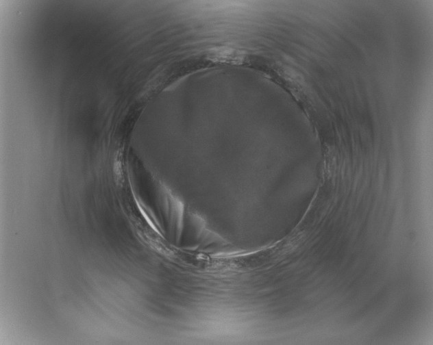 X0000068811154200605191800