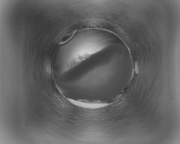 X0000068811155200605191800