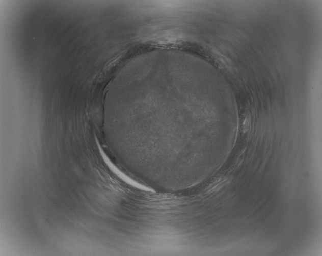 X0000068811156200605191800