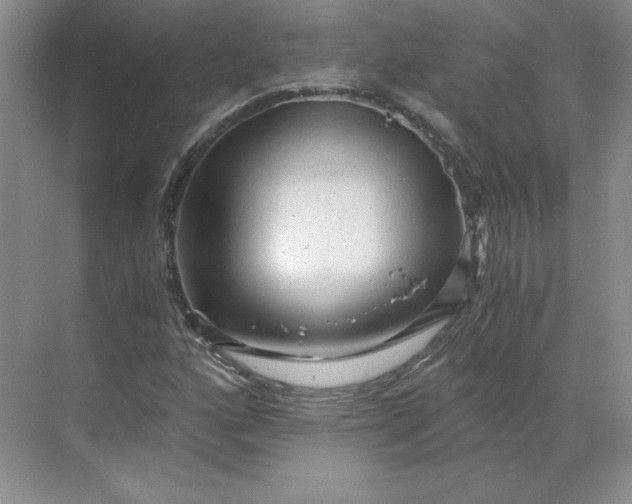 X0000068811160200605191759
