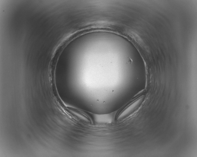 X0000068811164200605191759