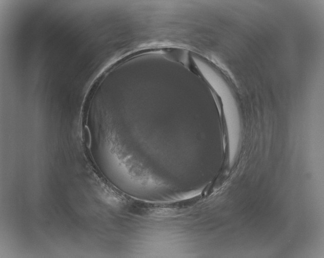 X0000068811173200605191759