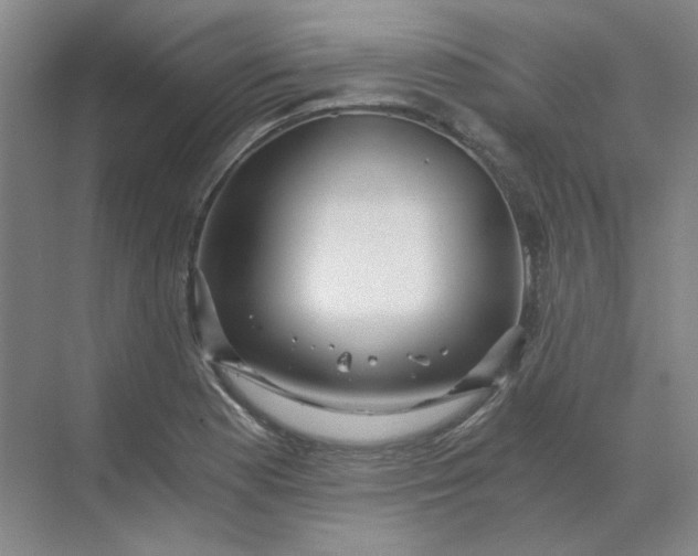 X0000068811177200605191759