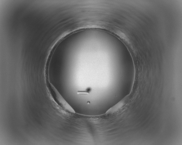 X0000068811181200605191759