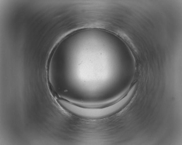 X0000068811184200605191759