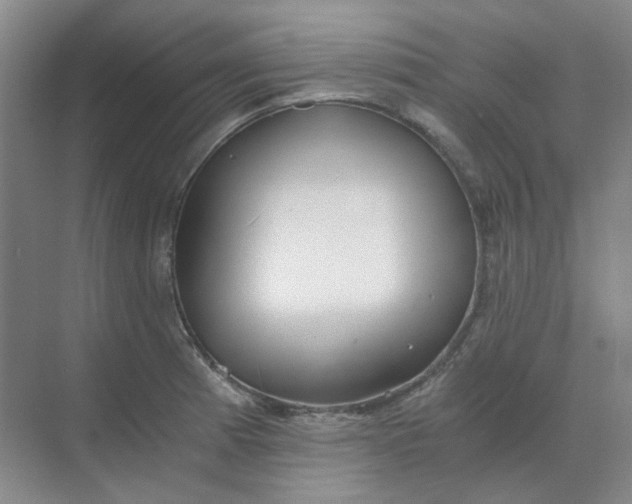 X0000068811185200605191759