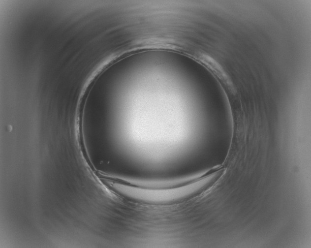 X0000068811188200605191759