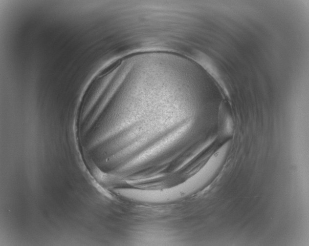 X0000068811197200605191759