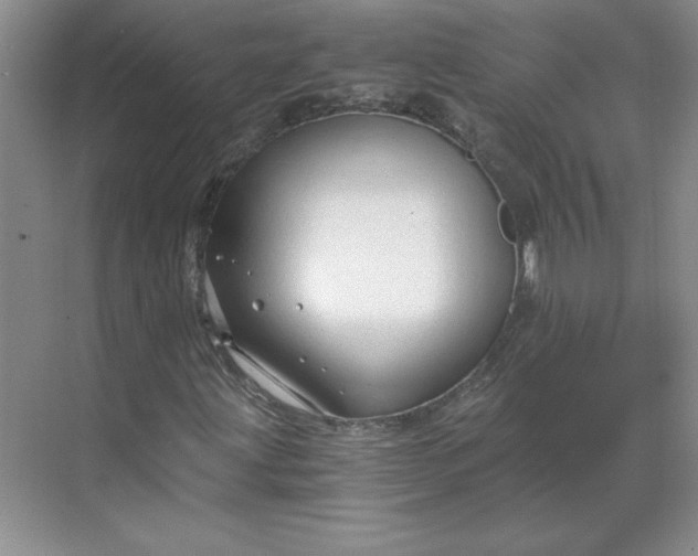 X0000068811203200605191758