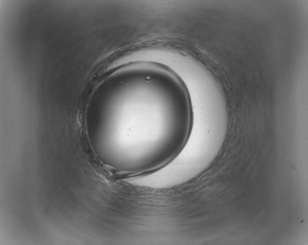 X0000068811206200605191758