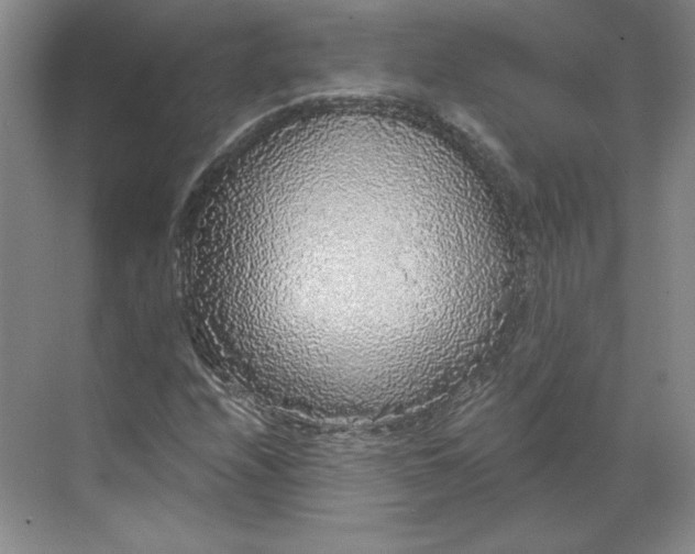 X0000068811208200605191758