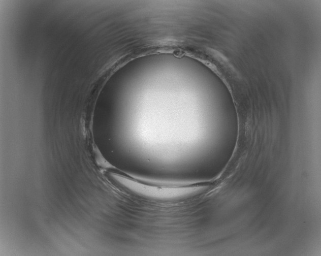 X0000068811209200605191758