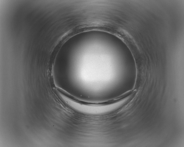 X0000068811210200605191758